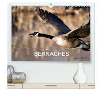BERNACHES (Calendrier mural haut de gamme 2027 DIN A2 vertical), CALVENDO calendrier mensuel: Les quatre saisons de la Bernache du Canada
