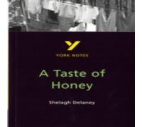Bernadette Dyer A Taste of Honey everything you need to catch up, study & prepare for the 2025 & 2026 exams Book Bernadette Dyer Multicolor