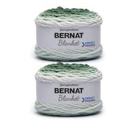 Bernat Blanket Perfect Phasing - 2 Pack of 220 Yards/10.5 oz Forest 100% Polyester Yarn