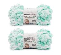 Bernat Looped Yarn, Beginner Project, Blanket, Easy to Knit, Hand Stitch, 100% Polyester, White & Mint, 2 Pack