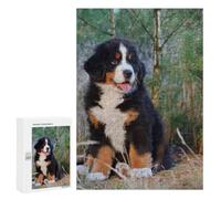 Berner Puppy Jigsaw Puzzle, 300 PCS, Indoor Activity for The Home, A Mindful Leisure Activity for Puzzle Lovers, at Home