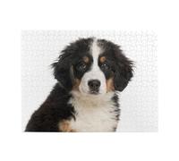 Bernese Mountain Dog 2,500 Pieces Puzzles for Adults-Wooden Jigsaw Puzzle for Adults Elderly
