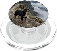 Bernese Mountain Dog Alpine Cliff Trail Scenic PopSockets PopGrip for MagSafe