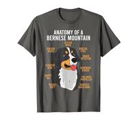 Bernese Mountain Dog Anatomy Dog Lover T-Shirt, Men, Asphalt Grey, Medium