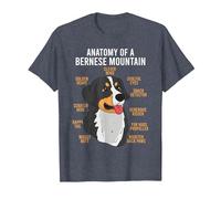 Bernese Mountain Dog Anatomy Dog Lover T-Shirt, Men, Heather Blue, Medium