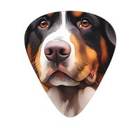 Bernese Mountain Dog Guitar Picks Gift Set - Smooth Durable Plectrums For Acoustic, Electric & Bass Guitar, Perfect Present For Guitar Lovers & Musicians