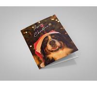 Bernese Mountain Dog in Santa Hat Pack of 5 Merrry Christmas Greetings Cards 125mm x 178mm Including Envelopes GC509PCK5