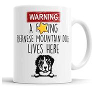 Bernese Mountain Dog Mug | Warning A Lives Here Funny Rude Gift | Dog Mug for Birthday Christmas | Friend, Mum, Auntie, Sister, Dad, Uncle, Brother Ceramic Cup