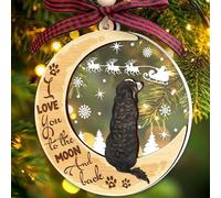 Bernese Mountain Dog Ornaments Christmas Tree, Bernese Mountain 2 Layer Wood & Acrylic Hanging Ornament, Christmas Decoration 2024 for Bernese Mountain Lovers, Dog Mom, Dog Dad, Pet Lovers