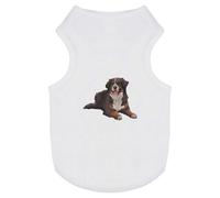 'Bernese Mountain Dog' Pet Dog/Cat T-Shirt (PT00085554)