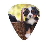 Bernese Mountain Dog Puppies,12 Pcs Guitar Pick,3 Different Thickness Plectrums for Acoustic Guitar Bass Ukulele (0.46mm 0.96mm 0.71mm)