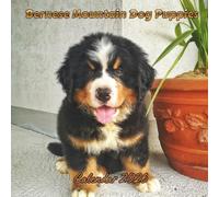 Bernese Mountain Dog Puppies Calendar 2026: Organizer For Home & Office From January to December For Men, Women