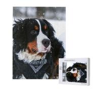 Bernese Mountain Dog Snowfall,500 Pieces Wooden Jigsaw Family Game Jigsaw Puzzles for Adults Teens