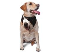 Bernese Mountain DogDog Bandanas Cat Puppy Scarfs Washable Pet Handkerchief
