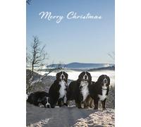 Bernese Mountain Dogs Pack of 5 Merry Christmas Greeting Cards 125mm x 178mm Including Envelopes GC495PCK5
