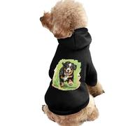 Bernese Mountain Puppies Cute Dog And Cat Clothes Pet Hoodie Sweatshirt Pullover Sweater Coat