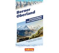 Bernese Oberland Panoramic Map: Faszinierende Landschaftskarte mit 3D-Darstellung