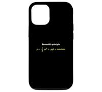 Bernoulli’s Principle The Beauty of Fluid Dynamics Case for iPhone 12/12 Pro