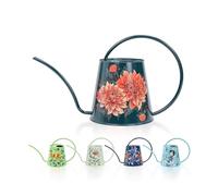 Berry&Bird Stainless Steel Watering Can - Indoor & Outdoor 0.44 Gallon Gardening Large Watering Bottle with Long Spout, No Drip Houseplant Watering Can for Flower Bonsai Succulent(2L/Dahlia)