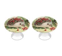 Berry - Collecting Hedgehog Cabinet Knobs, 2-Pack Silver Stainless Steel Drawer Pulls with Screws, Elegant Hardware for Dressers, Kitchen,Cabinets & Desks