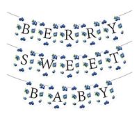Berry Sweet Baby Banner, Berry First Birthday Banner Blueberry Birthday Party Decor, Fruit Theme Party Supplies Baby Shower Birthday Party Decorations Supplies for 1st 2nd 3rd birthday