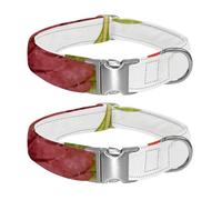 Berry Sweet Stories Adjustable Pet Collar for Small Medium Large Dogs & Cats, Reflective Strip for Night Safety, Soft Comfort Pad