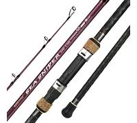 BERRYPRO Surf Spinning & Casting Fishing Rod Carbon Fiber Travel Fishing Rod(9-Feet & 10-Feet & 12-Feet & 13.3-Feet) (10'-Casting 2-Piece)