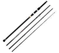 BERRYPRO Surf Spinning Fishing Rod Graphite Spinning Rod(9'/10'/12') (10'6''-Spinning- 4pc)