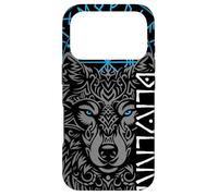 Berserker & Viking Compass - Nordic Wolf Design Case for iPhone 17 Pro
