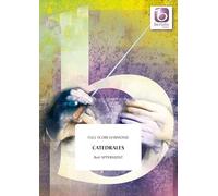 Bert Appermont-Catedrales-Concert Band/Harmonie-Score