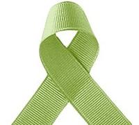 Bertie's Bows Pastel Green 9mm Grosgrain Ribbon on 25m Roll