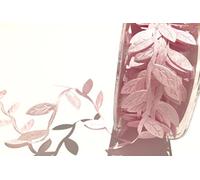 Bertie's Bows Pink Leaf Trim Delicate Satin Ribbon on a 10m Roll
