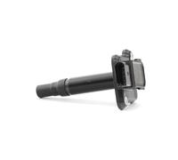 BERU ZSE009 Ignition coil