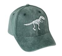 Besforta Skull Dinosaur Embroidered Toddler Kids Baseball Cap Adjustable Cotton Distressed Washed Vintage Dad Hat for Boys Girls Age 2-8