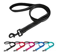 Beshine Padded Handle Dog Lead, 1.2m x 2cm Durable Reflective Nylon Dog Leash for Small, Medium Dogs, Black