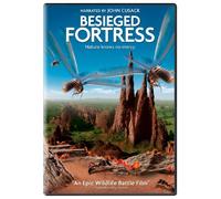 Besieged Fortress [DVD] [2006] [Region 1] [US Import] [NTSC]