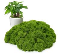 BESKIT Artificial Moss for Potted Plants, 300g Fake Moss Decor for Indoor Plants, Glass Containers, Wedding, Gardens, DIY Crafts (Light Green)