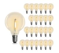 BESLAM G40 LED Filament Bulbs, 2200K Warm White Plastic Edison Bulb 0.6W G40, E12 Base for Waterproof Outdoor String Lights Bulb Replacement (25 Pack)