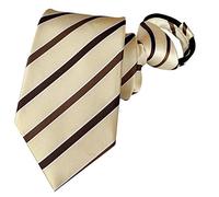 BESMODZ Men's Zipper Ties for Mens Pre-tied Woven Jacquard Wedding Silk Neck Tie, Champagne 1, One size