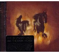 Besnard Lakes - Besnard Lakes Are The Dark Horse