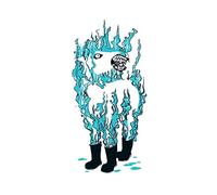 Besnard Lakes - Casino Nanaimo [12" VINYL]