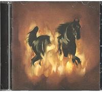 Besnard Lakes - The Besnard Lakes Are The Dark Horse