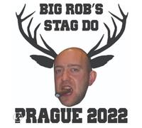 Bespoke Stag portrait Temporary Tattoos FAST- A4 Sheet