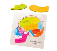 BESPORTBLE 1 Set Brain Structure Puzzle Puzzle Puzzle for Shape Matching Game Brain Structure Cognition Brain Structure Puzzles Puzzle for Wood