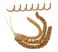 BESPORTBLE 1 Set Natural Grains for Parrots of Dried Millet Treats for Cockatiels and Parakeets Promotes Healthy Digestion Increased Appetite Convenient Storage Additive