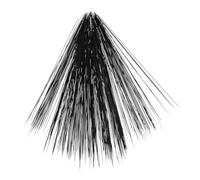BESPORTBLE 1 Set Realistic Animal Doll Whiskers Soft Crafting Materials for Needle Felting DIY Stuffed Animals Whiskers for Cats Hamsters More