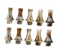 BESPORTBLE 10pcs Hulusi Mouthpieces for Keys Resin Material Compatible with Various Gourd Flute Brands Music Instrument Accessories Set
