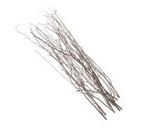 BESPORTBLE 10pcs Natural Dried Birch Branches Home Decor Small Twigs for Vase Filler Corrosion Resistant Plant Stems for Artistic Display and Photography Props
