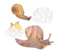 BESPORTBLE 1set Boys and Girls Animal Growth Cycle Model Educational Toy for Early Learning Realistic Figurines for Nature Exploration and Teaching for Storytelling and Preschool Activities