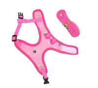 BESPORTBLE 1set Chicken Pulling Rope Hen Leash for Outdoor Rope for Pet Chickens and Creative Design for Themed Parties